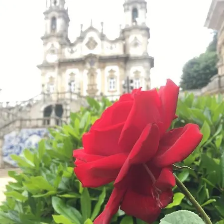 Fafel Little House Appartement Lamego