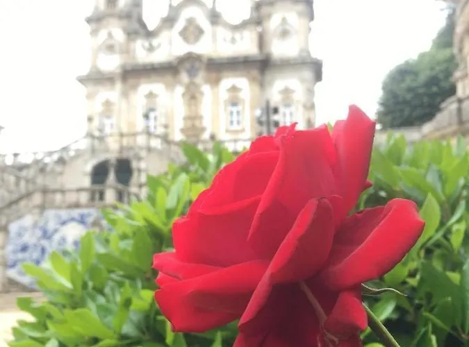 Fafel Little House Lejlighed Lamego